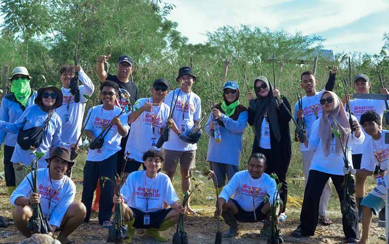 Bibit Mangrove
